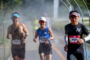 BIB: 
                            <button type="button" onclick="openModal(26544365)" class="btn btn-primary btn-sm float-right btn-popup" data-toggle="modal" data-target=".modal-high-quality">
                        <i class="fas fa-shopping-cart"></i> Add to Cart
                    </button>
                                            <button type="button" onclick="isThisMe(26544365, true)" class="btn btn-success btn-sm float-right btn-popup btn-isme hidden" data-toggle="tooltip" data-placement="bottom" title="นี่คือรูปของคุณใช่ไหม คลิกที่นี่เพื่อเอาเข้าอัลบั้ม">
                        <i class="fas fa-plus"></i> Add to album
                    </button>
                    <button type="button" onclick="isThisMe(26544365, false)" class="btn btn-warning btn-sm float-right btn-popup btn-isnotme hidden">
                        <i class="fas fa-ban"></i> Remove from album
                    </button>